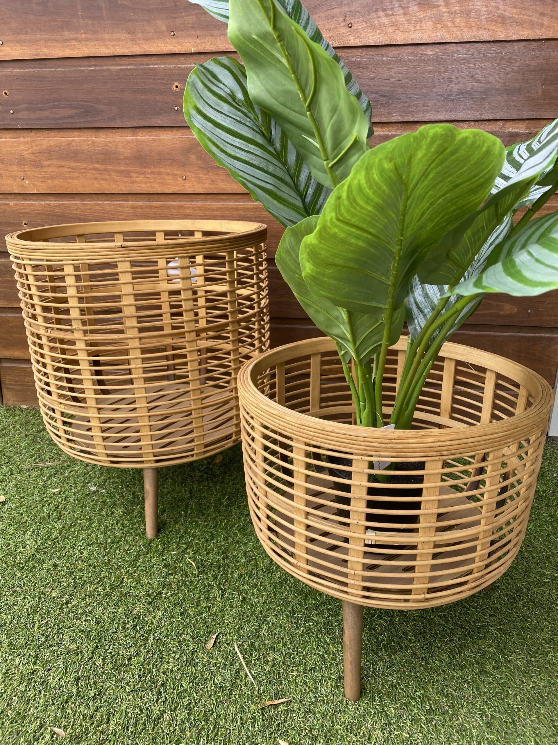 Planters With Bamboo