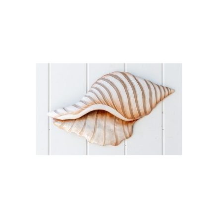 WALL DECOR - CAPIZ - SHELL V1 - BEIGE | Daydream Leisure Furniture